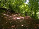 Planina (Dolnja Planina) - Hunting cottage on Planinska gora